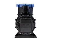 Pré-filtro Autoescorvante 1/2 CV 